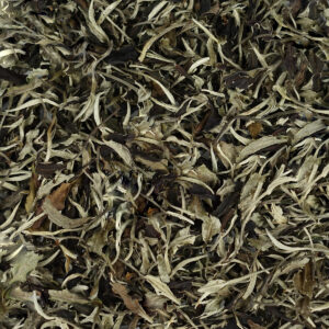 Белый чай Юэ Гуан Бай «Белый Лунный Свет»