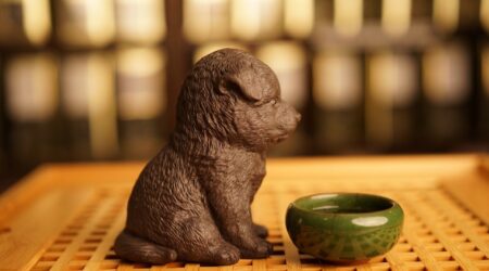 Молочный улун: что это за чай и что с ним не так